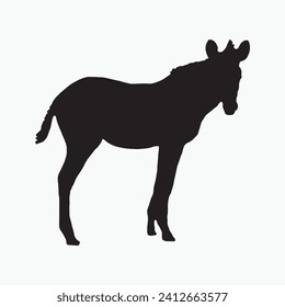 Silhouette of a zebra. Black zebra silhouette on white background