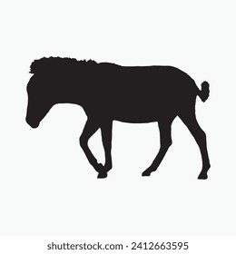 Silhouette of a zebra. Black zebra silhouette on white background