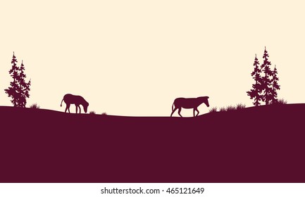 Silhouette of zebra in fields flat scenery