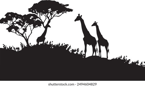 Silhouette zebra in jungle view, black nature, vector