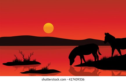 Silhouette of zebra in riverbank with red backgrounds