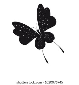 silhouette,beautiful butterflies, isolated on a white