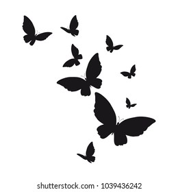 silhouette,beautiful butterflies, isolated on a white