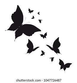 silhouette,beautiful butterflies, isolated on a white