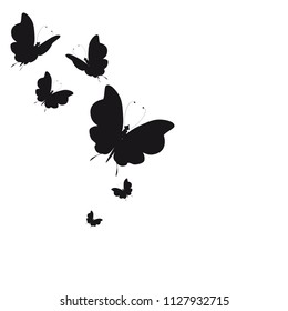 silhouette,beautiful butterflies, isolated on a white