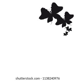 silhouette,beautiful butterflies, isolated on a white