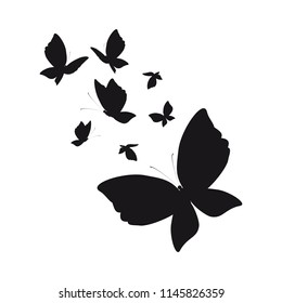 silhouette,beautiful butterflies, isolated on a white