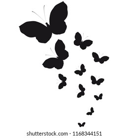 silhouette,beautiful butterflies, isolated on white