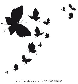 silhouette,beautiful butterflies, isolated on a white