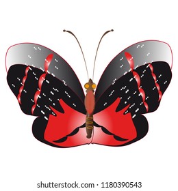 silhouette,beautiful butterflies, isolated on a white