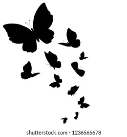 silhouette,beautiful butterflies, isolated on a white