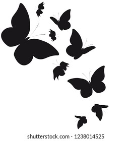 silhouette,beautiful butterflies, isolated on a white