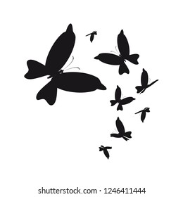 silhouette,beautiful butterflies, isolated on a white