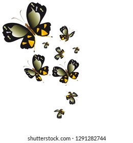 silhouette,beautiful butterflies, isolated on a white