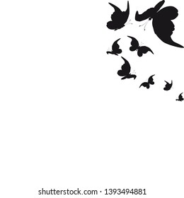 silhouette,beautiful butterflies, isolated on a white