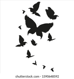 silhouette,beautiful butterflies, isolated on a white