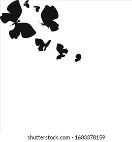 silhouette,beautiful butterflies, isolated on a white
