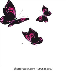 silhouette,beautiful butterflies, isolated on a white