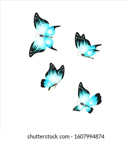 silhouette,beautiful butterflies, isolated on a white