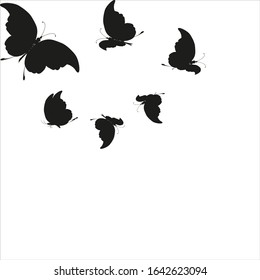 silhouette,beautiful butterflies, isolated on a white
