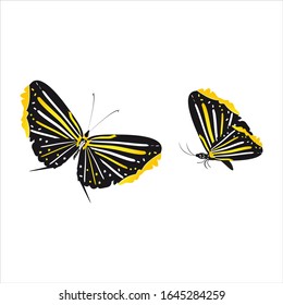 silhouette,beautiful butterflies, isolated on a white