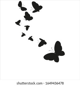 silhouette,beautiful butterflies, isolated on a white