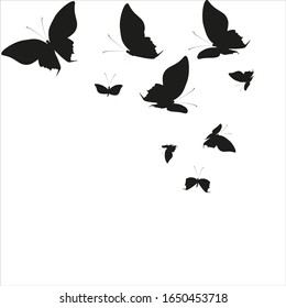 silhouette,beautiful butterflies, isolated on a white