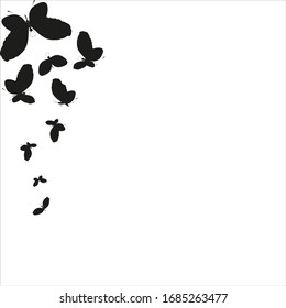 silhouette,beautiful butterflies, isolated on a white