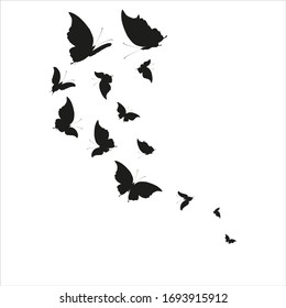 silhouette,beautiful butterflies, isolated on a white