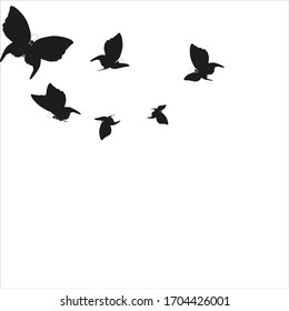 silhouette,beautiful butterflies, isolated on a white