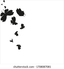 silhouette,beautiful butterflies, isolated on a white