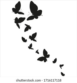 silhouette,beautiful butterflies, isolated on a white