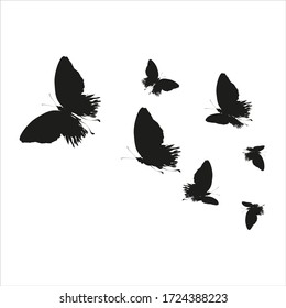 silhouette,beautiful butterflies, isolated on a white