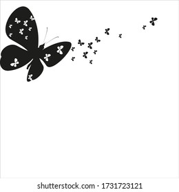 silhouette,beautiful butterflies, isolated on a white