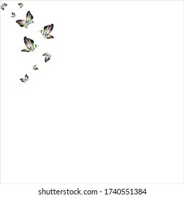 silhouette,beautiful butterflies, isolated on a white