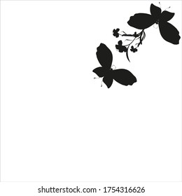 silueta, bonitas mariposas, aisladas en blanco