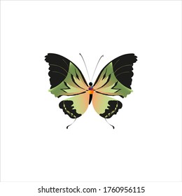 silhouette,beautiful butterflies, isolated on a white