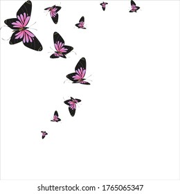 silhouette,beautiful butterflies, isolated on a white