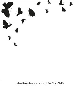 silhouette,beautiful butterflies, isolated on a white