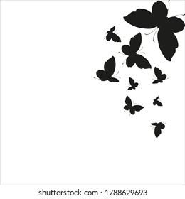 silhouette,beautiful butterflies, isolated on a white