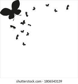 silhouette,beautiful butterflies, isolated on a white