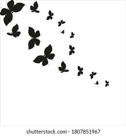 silhouette,beautiful butterflies, isolated on a white