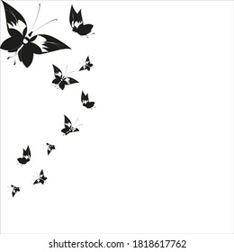 silhouette,beautiful butterflies, isolated on a white