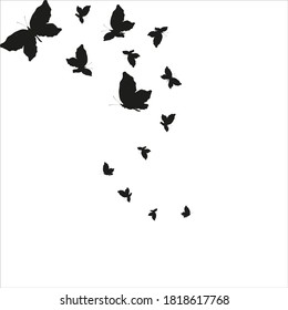 silhouette,beautiful butterflies, isolated on a white