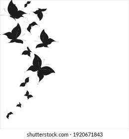 silhouette,beautiful butterflies, isolated on a white