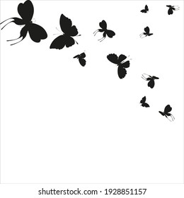 silhouette,beautiful butterflies, isolated on a white