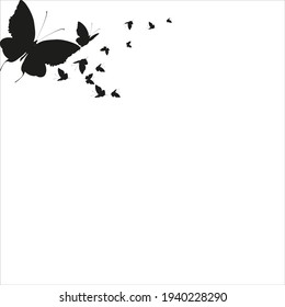 silhouette,beautiful butterflies, isolated on a white