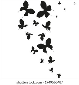 silhouette,beautiful butterflies, isolated on a white