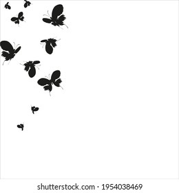 silhouette,beautiful butterflies, isolated on a white