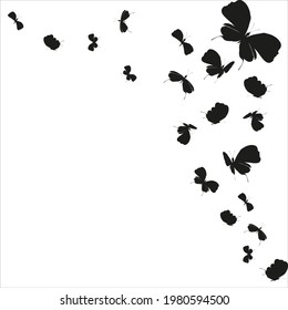 silhouette,beautiful butterflies, isolated on a white
